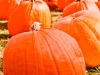 pumpkin-009